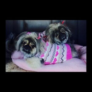 Meet your Posher, Lynn